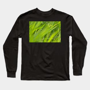 Shallow Blades of Grass Long Sleeve T-Shirt